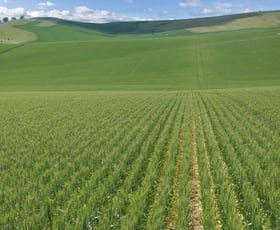 Rural / Farming commercial property sold at 'Whitings' Mayfield Road Washpool SA 5454