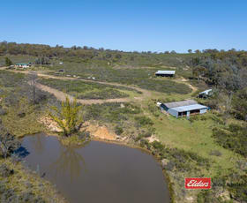 Rural / Farming commercial property sold at 170 Green Gully Road Mount Rankin NSW 2795