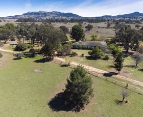 Rural / Farming commercial property for sale at 3019 Bylong Valley Way Rylstone NSW 2849