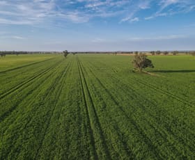 Rural / Farming commercial property for sale at 11025 "Lima" The Escort Way Forbes NSW 2871