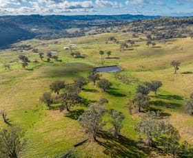 Rural / Farming commercial property sold at 1 Ponds Lane Orange NSW 2800