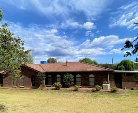 Rural / Farming commercial property sold at 556 Timor Road Coonabarabran NSW 2357