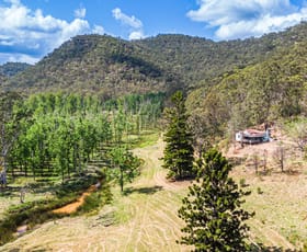 Rural / Farming commercial property for sale at Wrights Creek NSW 2775