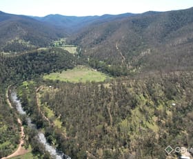 Rural / Farming commercial property sold at Lower Dargo Road Dargo VIC 3862