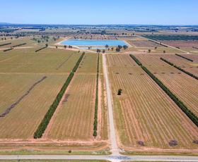 Rural / Farming commercial property sold at 201 Dellapool Road Narrandera NSW 2700