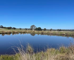 Rural / Farming commercial property for sale at Lot 1 Longwood Ruffy Road Ruffy VIC 3666