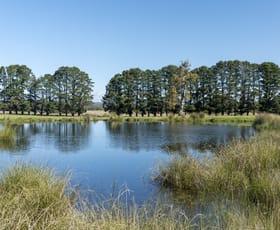 Rural / Farming commercial property for sale at Lot 1 Longwood Ruffy Road Ruffy VIC 3666