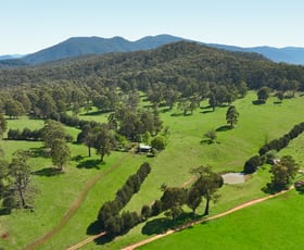 Rural / Farming commercial property for sale at 13 Snowys Track Benambra VIC 3900
