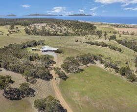 Rural / Farming commercial property sold at 131 Banwell Road Little Swanport TAS 7190