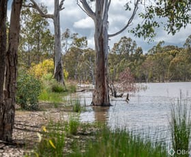 Rural / Farming commercial property sold at 650 Gellibrand Tonks Road Earlston VIC 3669