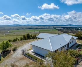Rural / Farming commercial property for sale at 113 Roseview Road Mount Fairy NSW 2580