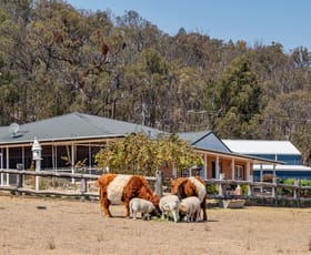Rural / Farming commercial property for sale at 128 McCowens Road Tenterfield NSW 2372