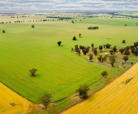 Rural / Farming commercial property sold at Cullivel Road Urana NSW 2645
