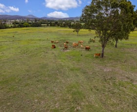 Rural / Farming commercial property for sale at Biddaddaba Road Boyland QLD 4275