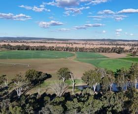 Rural / Farming commercial property sold at 27227 Burnett Highway Langley QLD 4630