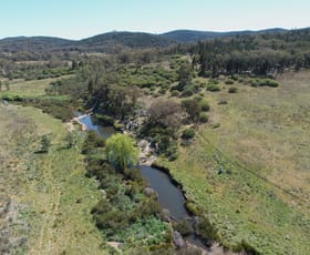 Rural / Farming commercial property for sale at 273 Bocobra Road Manildra NSW 2865