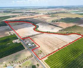 Rural / Farming commercial property sold at Calavos QLD 4670