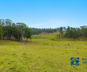 Rural / Farming commercial property for sale at 213 Dyraaba Road Piora NSW 2470
