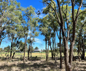 Rural / Farming commercial property for sale at 6267 Forest Road Mendooran NSW 2842