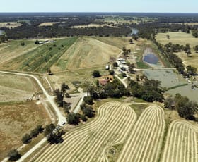 Rural / Farming commercial property sold at 80 Oberins Road Gunbower VIC 3566