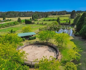 Rural / Farming commercial property for sale at 2047 Wisemans Ferry Road Mangrove Mountain NSW 2250