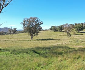 Rural / Farming commercial property sold at 1058 Old Bundarra Road Barraba NSW 2347
