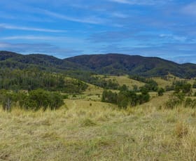 Rural / Farming commercial property for sale at Kings Creek Road Krambach NSW 2429