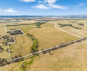 Rural / Farming commercial property for sale at Lots 8 & 24 Dunolly-Orville Road Murphys Creek VIC 3551