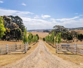 Rural / Farming commercial property for sale at 198 Nunn Road Myponga SA 5202