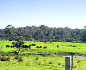 Rural / Farming commercial property for sale at 10 Walter Pierce Road Hazelvale WA 6333