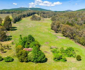 Rural / Farming commercial property sold at 40 Avondale Road Shelley VIC 3701