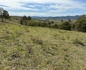 Rural / Farming commercial property for sale at 82 Wand Road Singleton NSW 2330