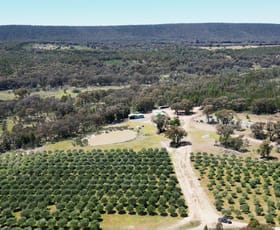 Rural / Farming commercial property for sale at Lot 48 Lynters Road Bumbaldry NSW 2794