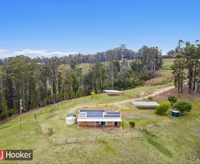 Rural / Farming commercial property for sale at 83 Kosekai Road Yarranbella NSW 2447