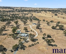 Rural / Farming commercial property sold at 2178 Jutland Road Keyneton SA 5353