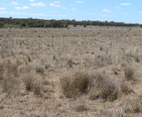 Rural / Farming commercial property for sale at "Walma" Back Trundle Road Parkes NSW 2870