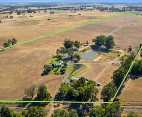 Rural / Farming commercial property for sale at 17226 South Western Highway Boyanup WA 6237