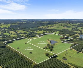 Rural / Farming commercial property sold at 177 Humpty Back Road Mcleans Ridges NSW 2480