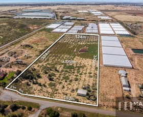 Rural / Farming commercial property sold at 11/ Nemesis Court Buckland Park SA 5120