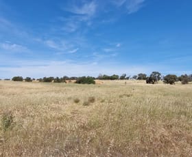 Rural / Farming commercial property for sale at 224 Fullers Road Wagin WA 6315