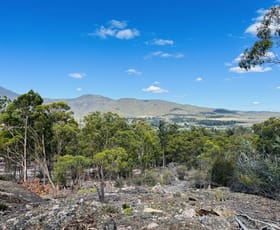 Rural / Farming commercial property for sale at Lot 3 Leona Road Avoca TAS 7213