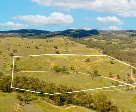 Rural / Farming commercial property for sale at 962 Campbells Creek Road Mudgee NSW 2850