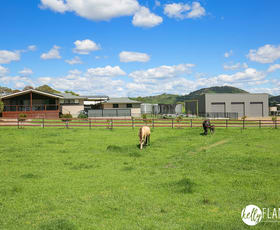 Rural / Farming commercial property for sale at 152 Dondingalong Road Dondingalong NSW 2440
