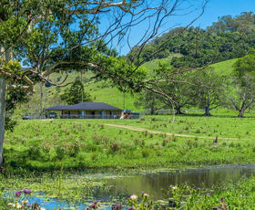 Rural / Farming commercial property for sale at 49 Hicks Road Spring Grove NSW 2470