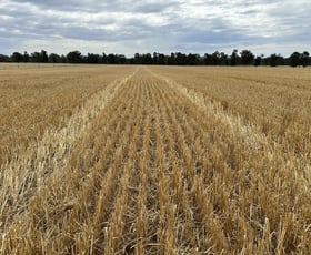 Rural / Farming commercial property sold at 126-184 Henty Walla Road Henty NSW 2658