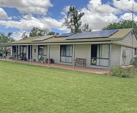 Rural / Farming commercial property for sale at 573 Hamiltons Road Narromine NSW 2821