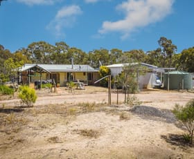 Rural / Farming commercial property for sale at 75 Ottreys Scrub Road Walmer VIC 3463