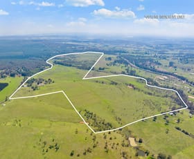 Rural / Farming commercial property for sale at 209 Pechey Forestry Road Pechey QLD 4352