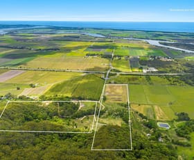 Rural / Farming commercial property for sale at 110 Mcandrews Lane Pimlico NSW 2478