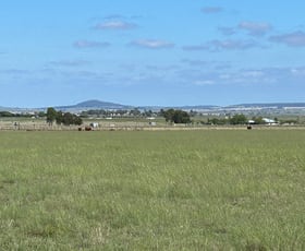 Rural / Farming commercial property for sale at 16476 New England Highway Clifton QLD 4361
